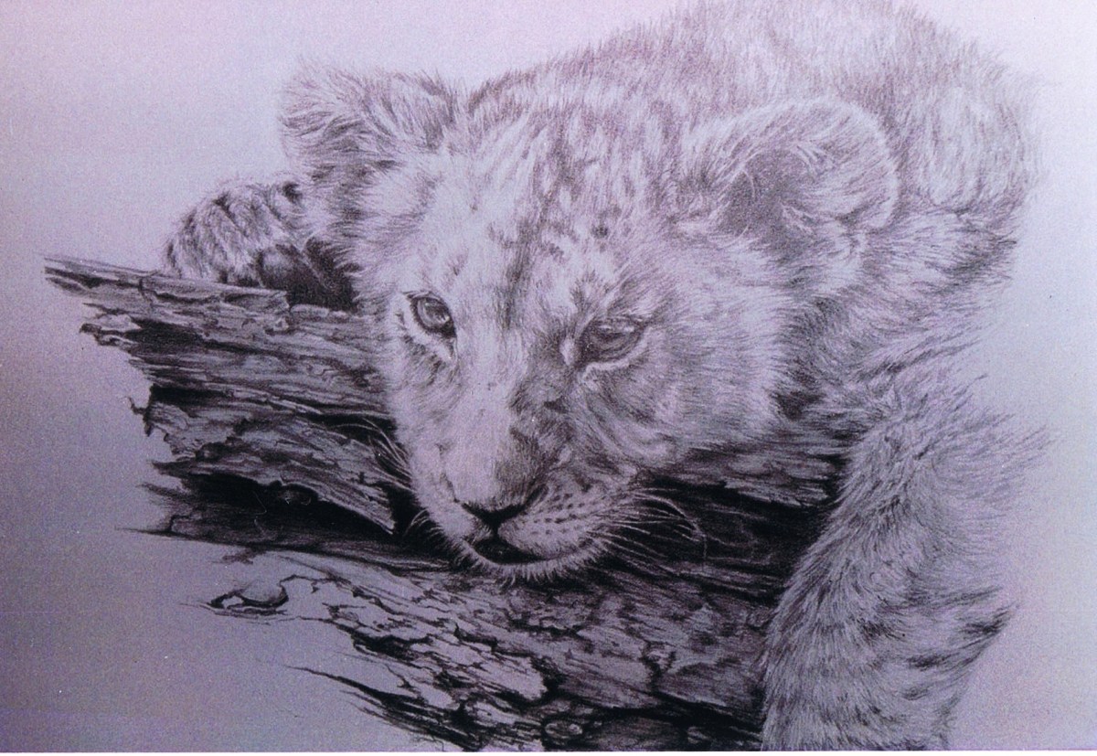 Lion Cub ~ Sold!